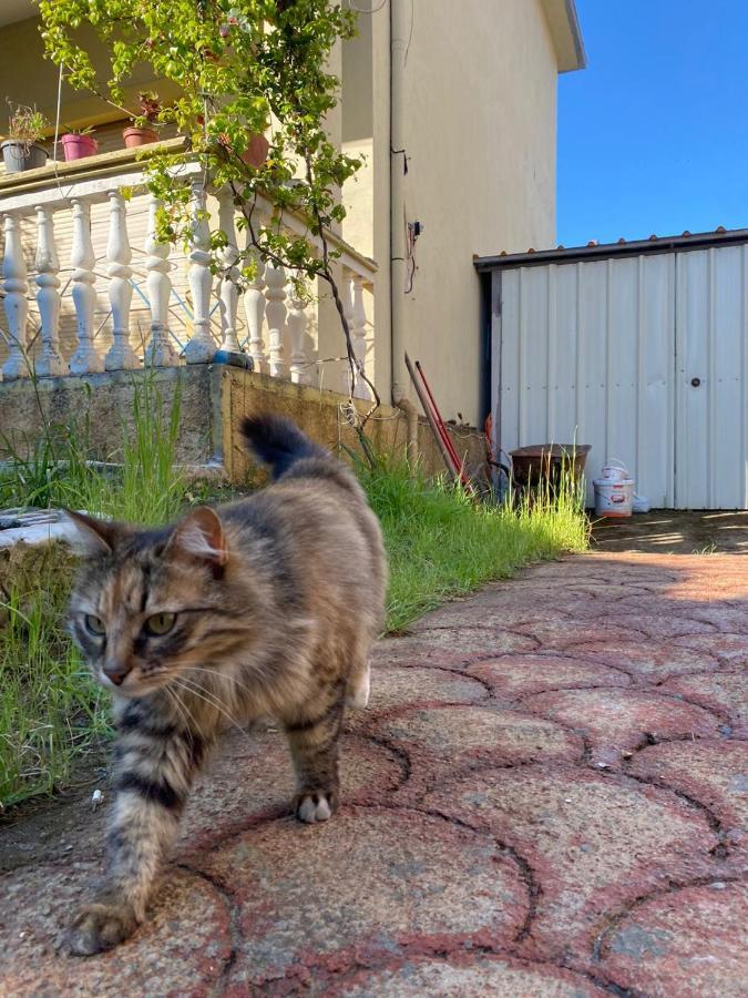 Gather Inn Guest House Shkoder Luaran gambar