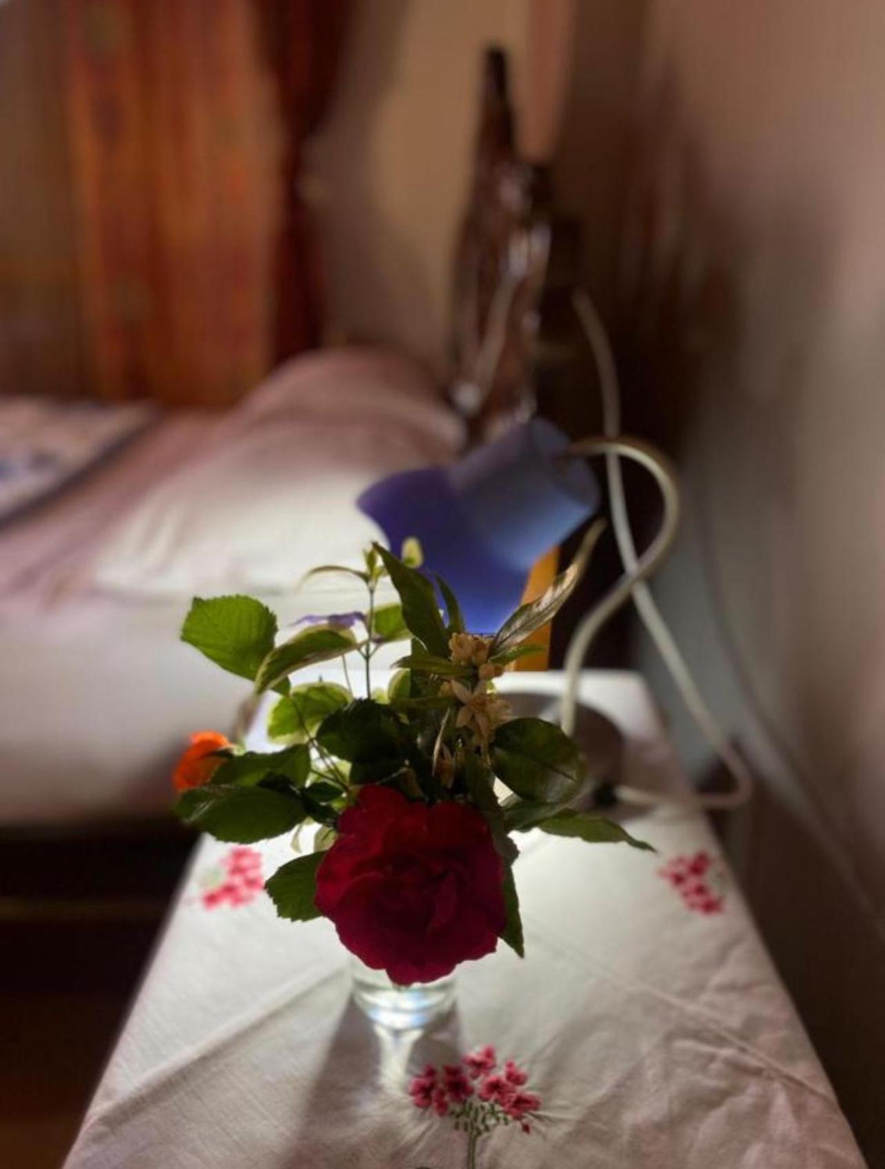 Gather Inn Guest House Shkoder Luaran gambar
